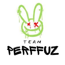 Logo Team Perffuz